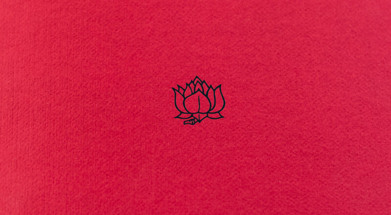 Denis Brihat, Indes, 1955