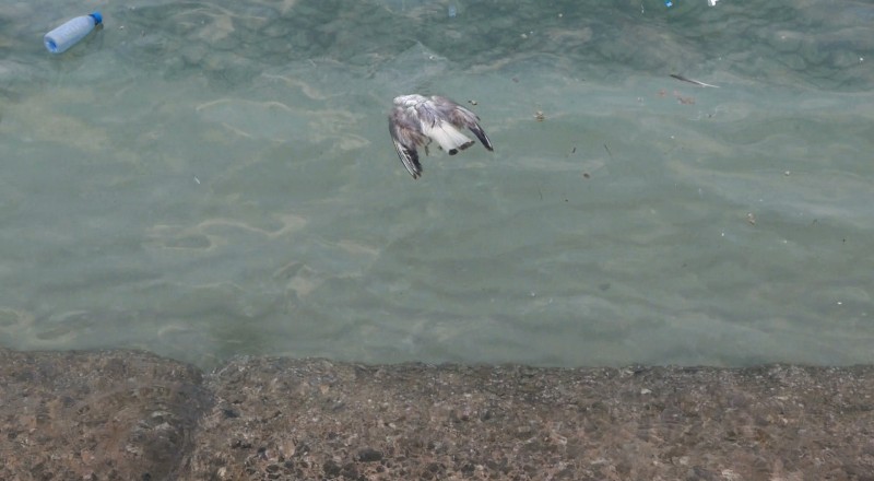 Nepal-Qatar: The Void and the void