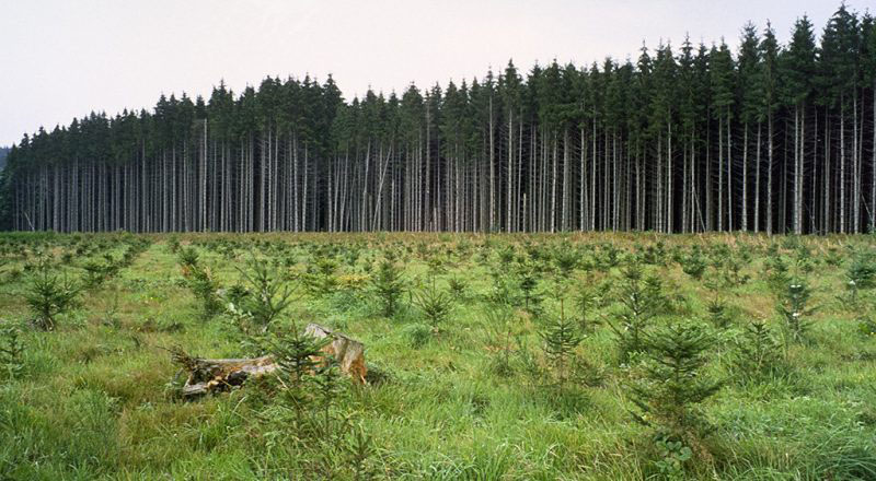 La grande Route par tous les temps