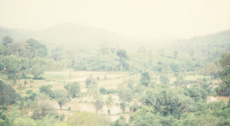 The Dolpo Box, 1994-1999