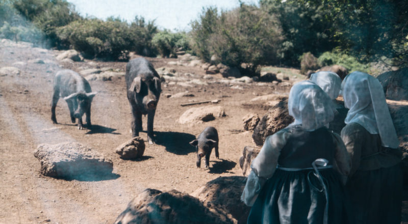 Olivier de Serres, par la Compagnie Émilie Valantin
