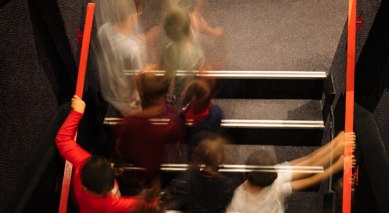 Territoires du cinématographe