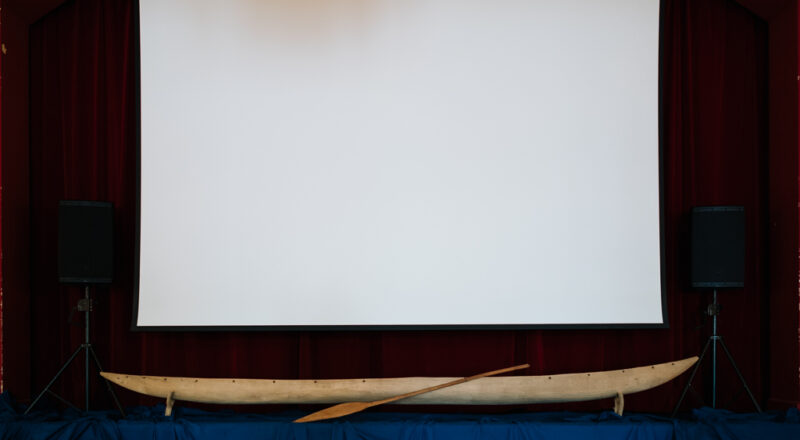 Territoires du cinématographe