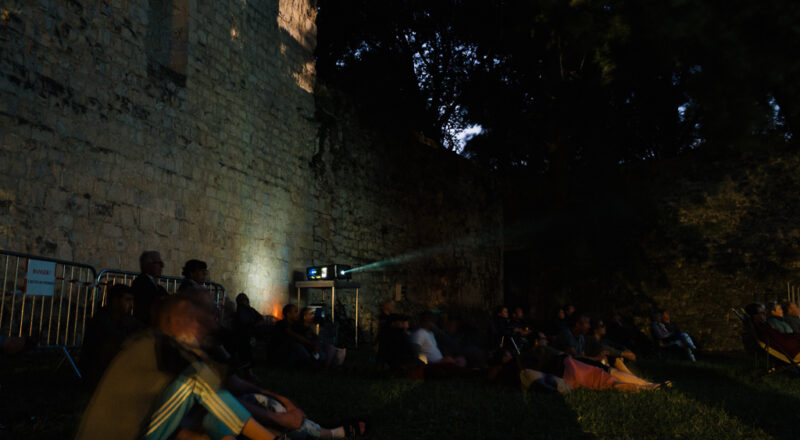 Territoires du cinématographe