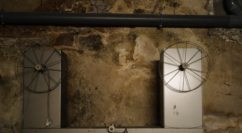 Territoires du cinématographe