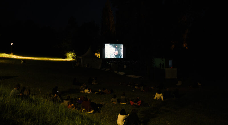 Territoires du cinématographe