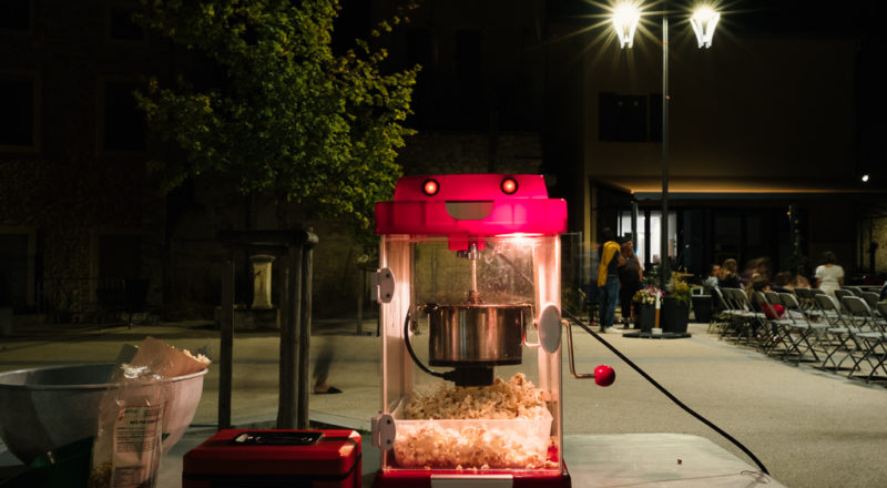 Territoires du cinématographe