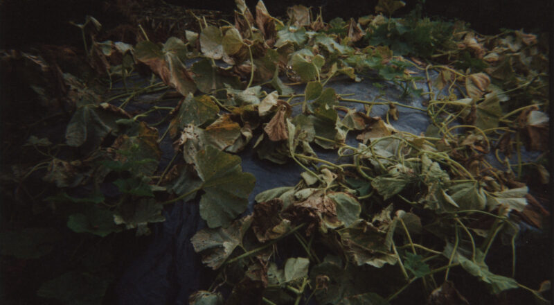 La Convivialité, chapitre 2