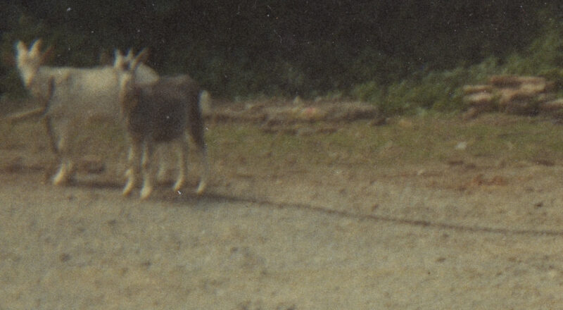 La Convivialité, chapitre 3