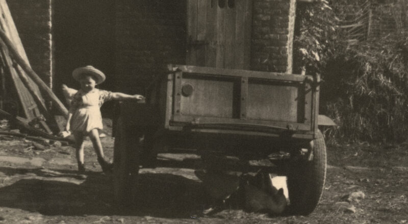 La Convivialité, chapitre 3