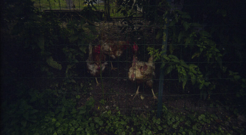 La Convivialité, chapitre 2